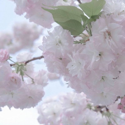 Furry绘画配色指南福瑞群